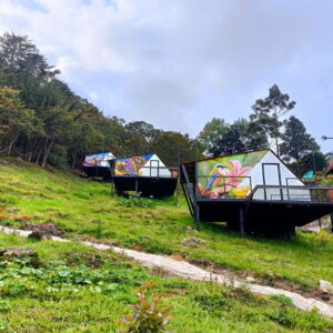 Glamping Entre Flores Iscala Chinácota 2022 - 2023 destino turistico de chinácota - Alojamiento en Chinácota