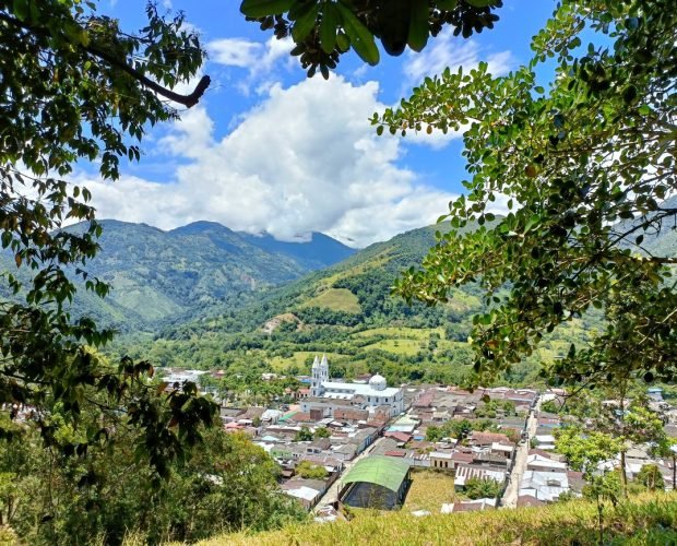 Tour Arboledas la tierra del cafe (10)