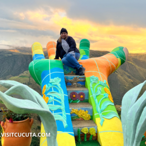 Tour Páramo de Santurbán - una experiencia única entre montañas, niebla y nacimientos de vida